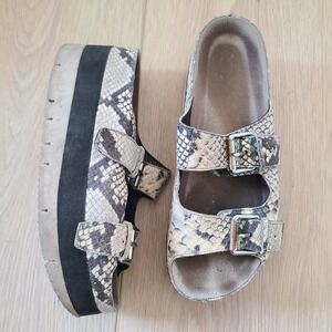 Ash Platform Sandals Leather Snake Print Double Buckle Chunky Sole‎ 38 Boho Y2K